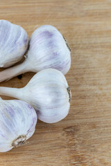bunch of white garlic whole head on a wooden background close-up