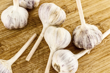 whole garlic large head scattered on a wooden board