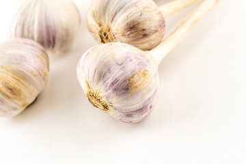 garlic large autumn harvest close-up on a white isolated background