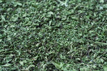 dried mint texture background