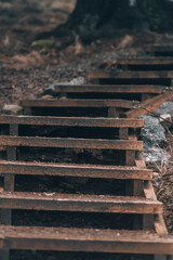 Wooden stairs in a gloomy park