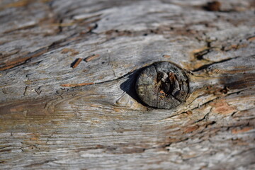 old wood background