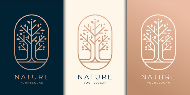 modern tree logo template. logo suitable for spa salon, skin hair, beauty, boutique and cosmetic, company.Premium Vector