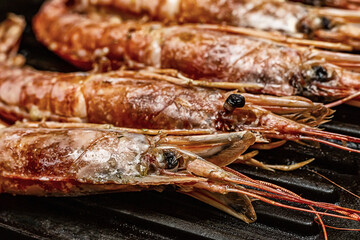 set of langoustine large and red focus on the head close-up