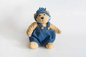 Bear doll wearing blue dress