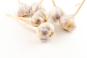 background garlic big head strongly smelling vegetable seasoning on a white base
