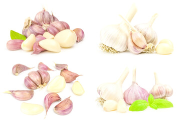 Set of Garlic clove isolated on white