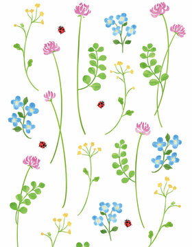 イヌノフグリ Images Browse 60 Stock Photos Vectors And Video Adobe Stock