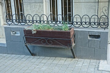 one brown wooden flowerpot with green plants on a gray wall above the sidewalk on the street
