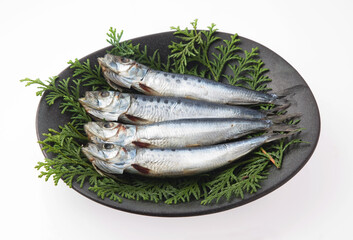 イワシの丸干し