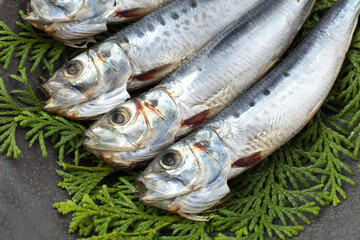 イワシの丸干し