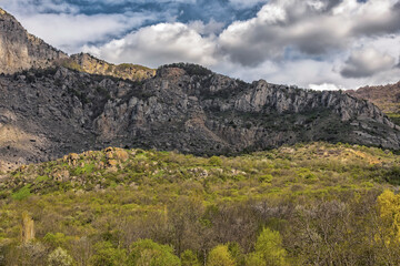Fototapeta na wymiar wooded valley at the foot of a high cliff rises against a cloudy blue sky