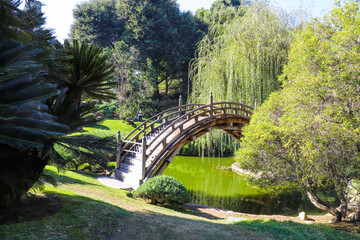 a gorgeous shot of a high arching wooden bridge over a deep green lake with lush green trees and...