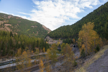 Fototapeta na wymiar Railroad Tracks thru the Forest with mountain background 