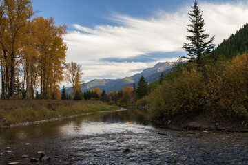 Middle Fork Flathead River flowing through forest and mountain background, Montana