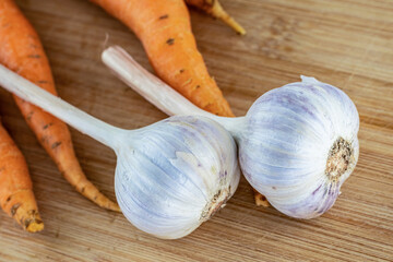 assorted vegetables big head of garlic on a background of bright orange carrots