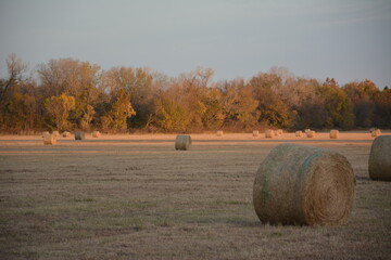 hay meadow with bales of hay