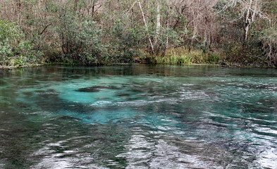 Florida springs 