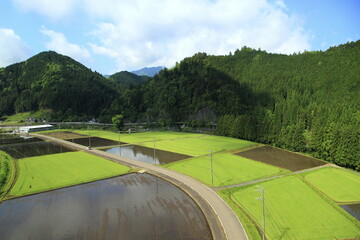 Fototapeta premium travel in Japan