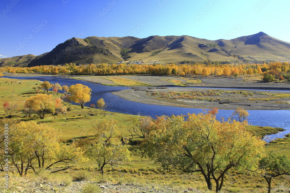 Canvas Prints travel in Mongolia