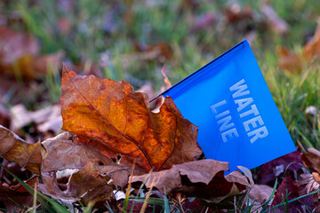 Warning flag for a buried water line in the grass beside a fallen leaf in Autumn