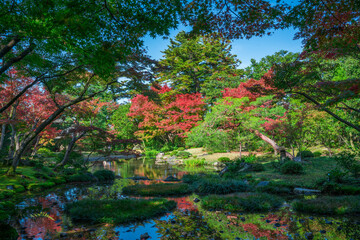 京都　無鄰菴の紅葉