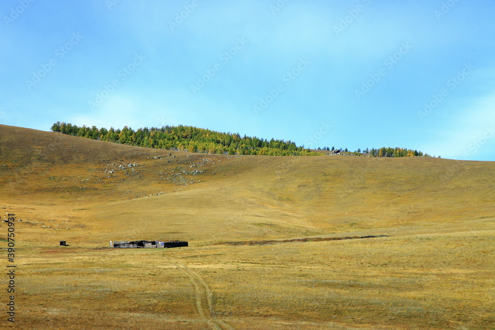 Canvas Prints travel in Mongolia