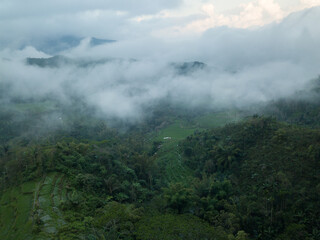 Fototapeta na wymiar Rice field terraces in Flores Indonesia
