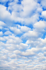 White cumulus clouds on blue sky background close up, fluffy cirrus cloud texture, beautiful cloudscape view, heaven on sunny summer day, cloudy weather, cloudiness backdrop, azure skies, ozone layer