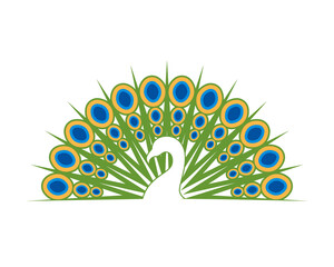 Beautiful peacock spread feather logo