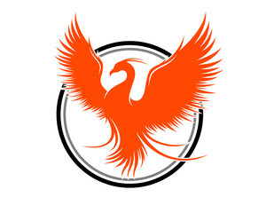Fototapeta premium Flying phoenix in the circle line