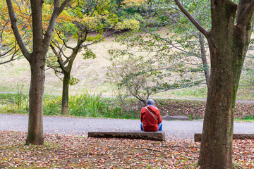 紅葉の進む公園でベンチに腰を下ろして休む男性