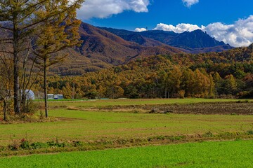 Fototapeta premium 長野県・秋の川上村の風景 9