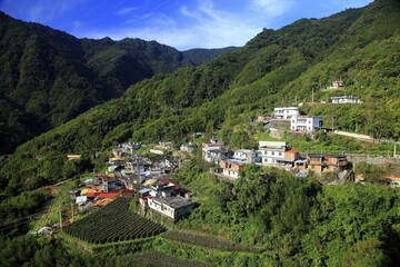 Fototapeta na wymiar beauty of nature in Xinzhu Taiwan