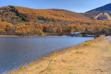 長野県・秋の女神湖の風景 3
