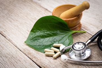 Herbal capsules pill, Betel leaf ( Piper sarmentosum )