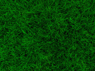Grass texture top view. Fresh bright green grass