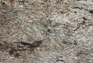 Metamorphic rock . Gneiss surface. Gneissic texture