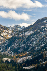 autumn larches in the cascades 