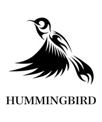 Fototapeta na wymiar Black line art Vector illustration on a white background of flying hummingbird. Suitable for making logos