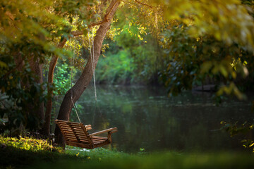 Tree swing overlooking creek