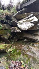stream in the mountains