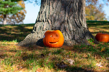 A Crudely Carved Pumpkin In Front of a Tree at a Park