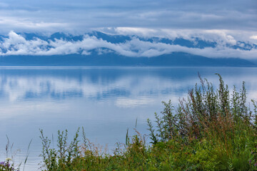 Baikal lake on cloudy weather with grass on foreground and reflection of clouds