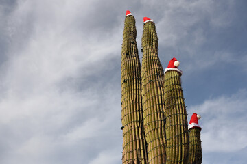 saguaro cactus with santa hats during day