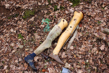 Old prosthetic legs discarded in the forest
