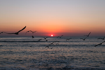 Natural beautiful sunrise over sea and horizon in the morning. Sunlight reflected on calm waves. Seascape under scenic colorful sky sunrise