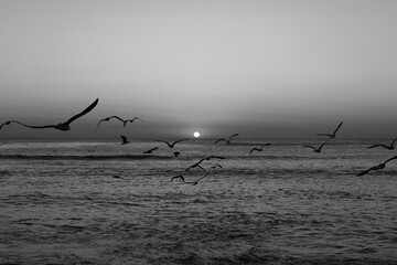 Natural beautiful sunrise over sea and horizon in the morning. Sunlight reflected on calm waves. Seascape under scenic colorful sky sunrise