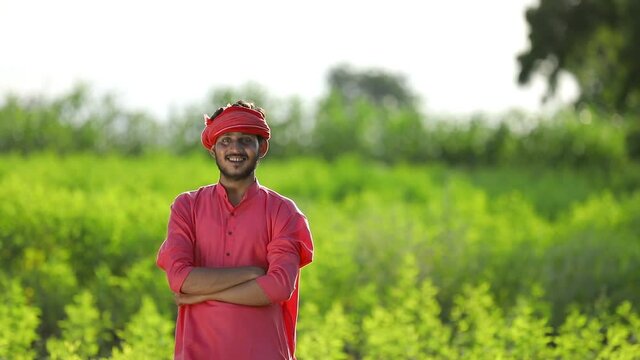 Young indian farmer at green pigeon pea field