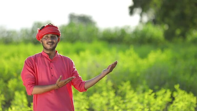 Young indian farmer at green pigeon pea field